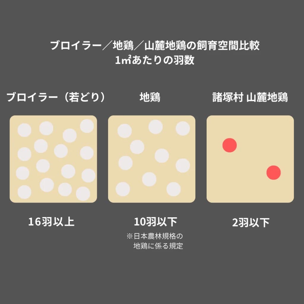 ブロイラー・地鶏・諸塚村山麓地鶏の1㎡あたりの羽数比較